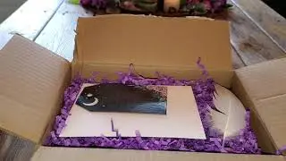 Witchy Haul and Unboxing for The Witches Book Box, May 2021