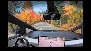 Cyber truck full self driving into Autumn forest 