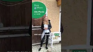 𝐌𝐞𝐡𝐫 𝐖𝐢𝐬𝐬𝐞𝐧 🤓 𝗔𝗹𝘁𝗲 𝗣𝗳𝗲𝗿𝗱𝗲 🐴💚