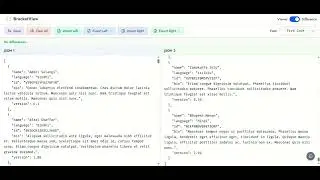 Best JSON Viewer for Developers? BracketView Tutorial (View, Compare, Format, Validate, & More)