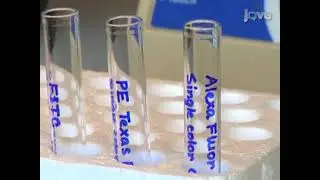 Isolating particular cell populations is achieved through fluorescence-activated cell sorting (FACS)
