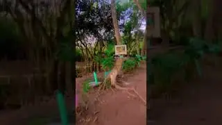 nossa &aacute;rea verde, linda natureza
