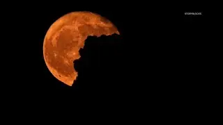 Skywatch 16 | November's beaver supermoon