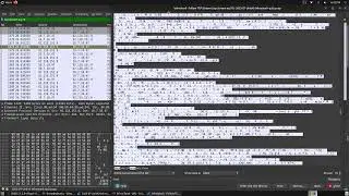 Redline Malware Traffic Analysis with Wireshark