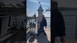 2 сентября 2024 г.