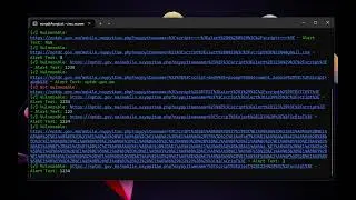 An advanced XSS (Cross-Site Scripting) vulnerability scanner