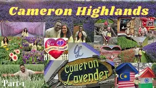 Cameron Highlands 🪻 Lavender Garden | Malaysia🇲🇾 Kannada Vlogs | Lavender Flowers | Part 1 | Tourism