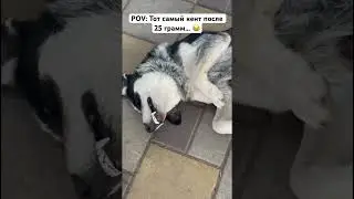 Отмечай того самого кента, который после первой рюмки уже в таком состоянии 😂.
