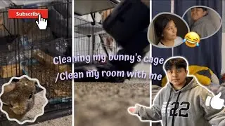 Clean with me my bunny's cage 🐰/ my room