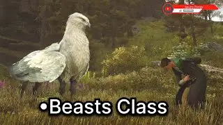 Hogwarts Legacy- Beasts Class Walkthrough