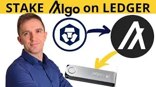 Как разместить алгоритм на Ledger Nano X [пошаговая инструкция: покупка-передача-ставка]