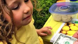 Lemonade Day Greater Indy Web Series: Episode 1 - Introductions