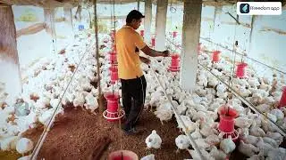 Poultry Farming Course Trailer in English | ffreedom app