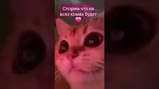 ждите💗 #рекомендации #люблюподписчиков #foryou