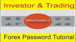 What Is Difference Between Investor And Trading Password New Tani Forex Tutorial in  Urdu and Hindi