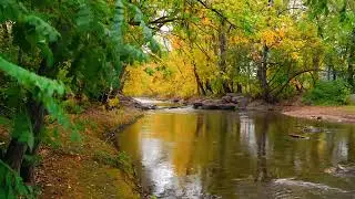 Fall foliage in the Boulder Creek - Relaxing Music For Stress Relief, Healing, Peaceful Relaxation