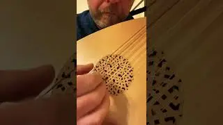 Renaissance Lute techniques #music #lute #shorts #guitar #howto #musicvideo #instrumental