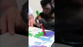 Monkey LOVES painting #monkey #artist #fun #pets #shorts