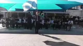 NDHS Irish Knight Band | Halftime Opening and Irish Opener