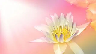 LINK OF LOVE: THE SOUL&rsquo;S RELATIONSHIP WITH THE DIVINE
