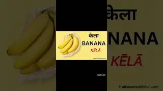 5 easy hindi fruit name #hindiactivity #hindilearn #freeclasses #freehindiclass #freehindilearning