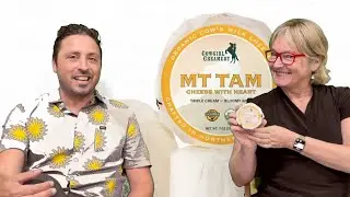 Mt Tam Cheese