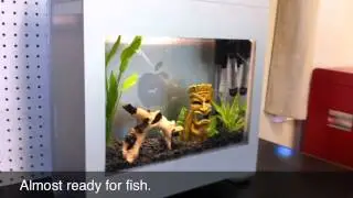 Mac Pro Fish Tank Build