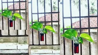 Diy wall planter ideas😍#diy#crafts#wallplanter