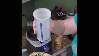 Self Cleaning Blender by Pampered Chef