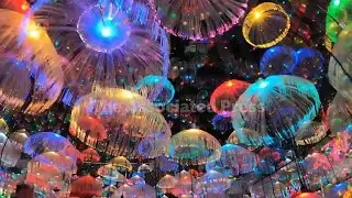 Chinese lantern festival lights up Philadelphia