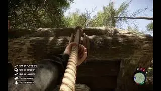 Sons of the Forest 2026 01 26 21 08 38