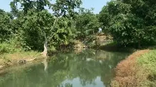 Horab Jungle Ranchi | Horab jungle view point | Horab Jungle | Ranchi | Jharkhand | Vlog | Trip |