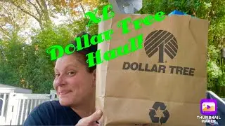 XL Dollar Tree Haul! 🛍 November 6, 2022