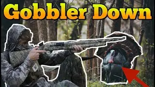 CRAZY Turkey Hunting MAD TOM (Tennessee Public Land)
