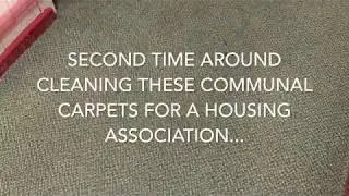 #communalblockcarpetcleanersleeds #squeakandbubblesleeds Squeak and Bubbles Communal Carpet Cleaners