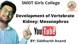 Development of Vertebrate Kidney: Mesonephros by Siddharth Anand #SMDTKM