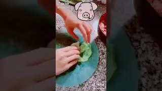 Sylvia Wu - Cabbage Dumplings