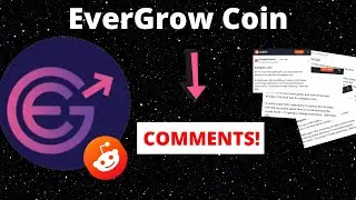 Evergrow and Centralised Exchange Conundrum || EverGrow Reddit Comments #6