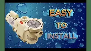 Pentair WhisperFlo Pool Pump Replacement | Step-by-Step Installation #diyplumbing #poolpump #diy