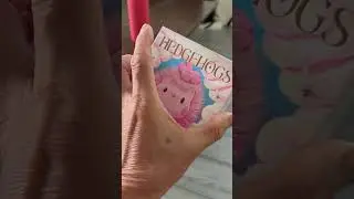 HEDGEHOGS #labubu #toys #unboxing