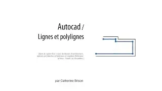 Autocad - Lignes et polylignes