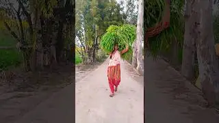 udate Badal Se poochho #sort #song #viral #farmerlife #👍👍👌👌👌🌿🌿🌿
