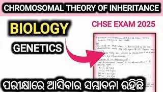 CHROMOSOMAL THEORY OF INHERITANCE | SELECTIVE LONG QUESTION | BIOLOGY | CHSE 12TH EXAM |bybachansir