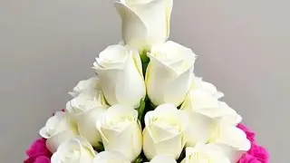 ፋፊ ወሎየዋ የአቀሥታአሠላማሊኩም