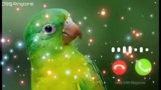 Iphone Ringtone|| new ringtone|| call ringtone|| ringtone song || ringtone music || love ringtone
