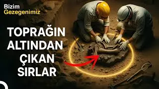 Bu Fosiller Dünya'yı Değiştirecek: Dinozorların Gerçek Hikayesi!  | Türkçe Dublaj Belgesel