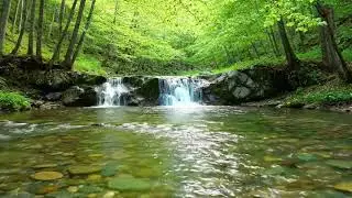 River Sounds - Peaceful Forest River - 3 Hours Long - HD 1080p - Nature Video