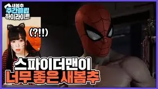 스파이더맨이 너무 좋은 새봄추 ( ✌'ω')✌ | 주간 클립 하이라이트