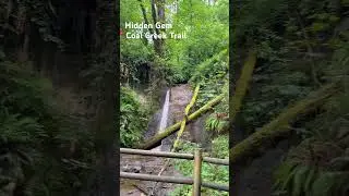 A hidden gem worth exploring #travel #seattle #youtubeshorts #explorewashington #viralvideo