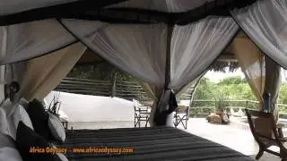 Sand Rivers: an African Safari with Africa Odyssey at Sand Rivers
